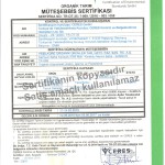 yeşil küre (2)